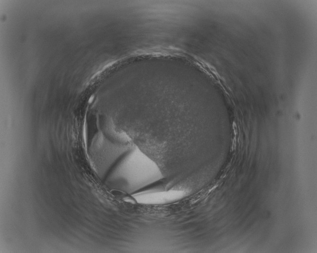 X0000080751158200701021024