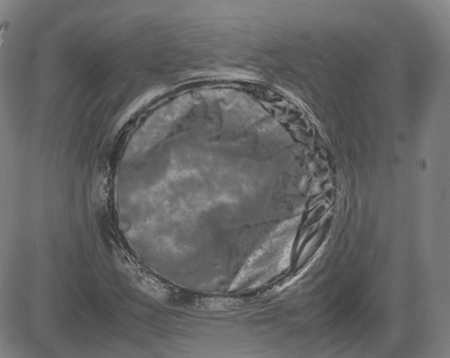 X0000080751163200701021023