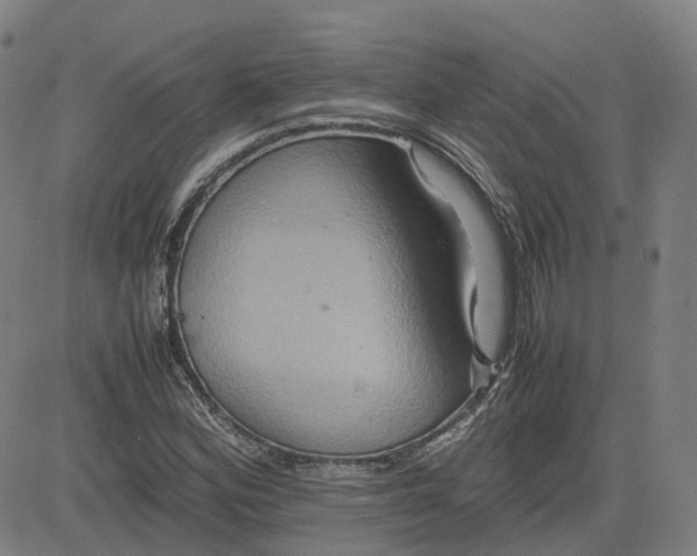 X0000080751164200701021023