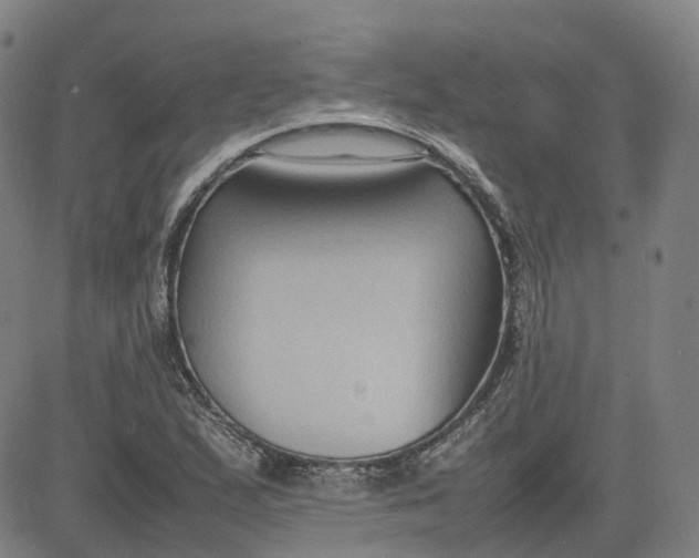 X0000080751167200701021023