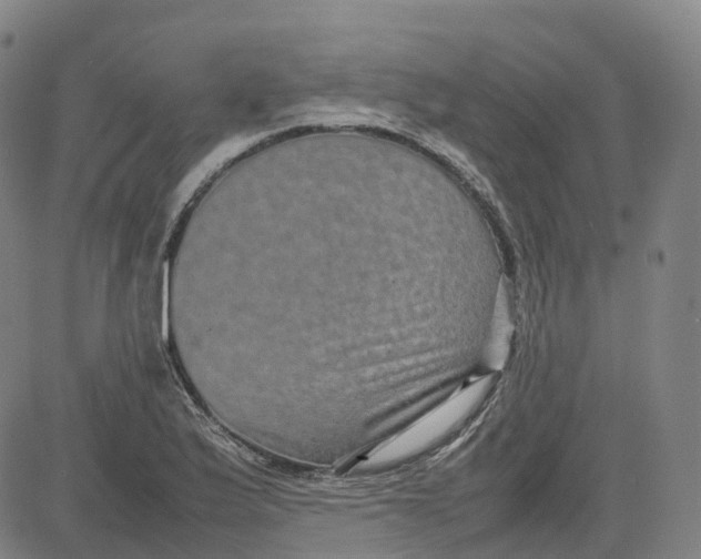 X0000080751175200701021023