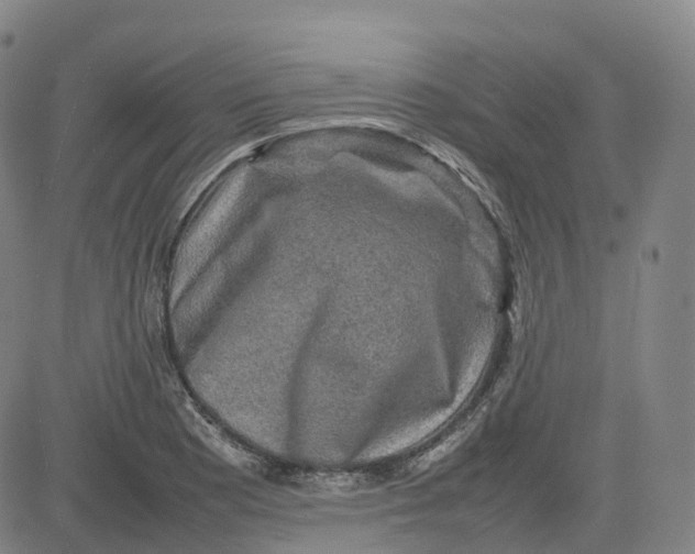 X0000080751177200701021023