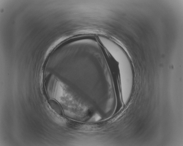 X0000080751179200701021023