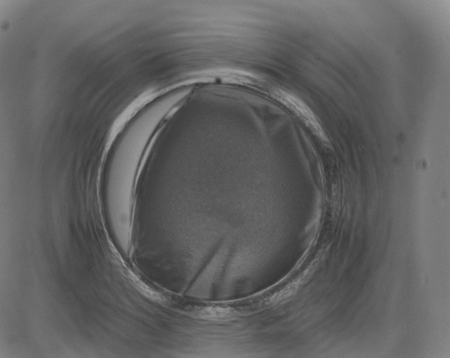 X0000080751180200701021023