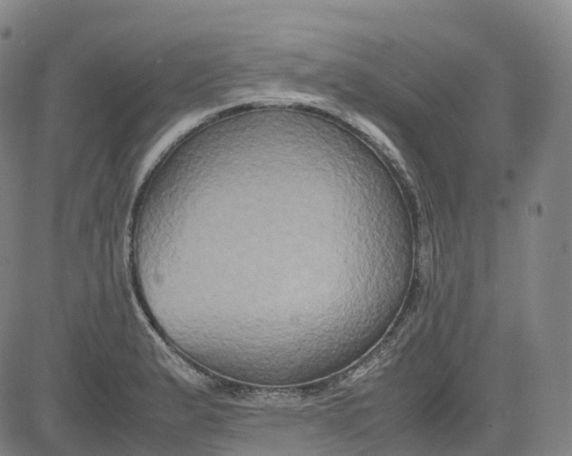 X0000080751183200701021023