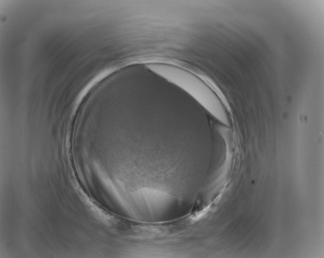 X0000080751197200701021023