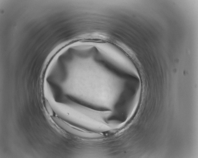 X0000080751200200701021023