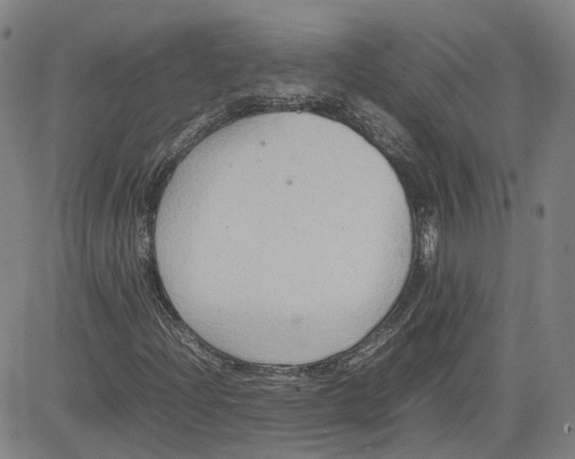 X0000080751204200701021022