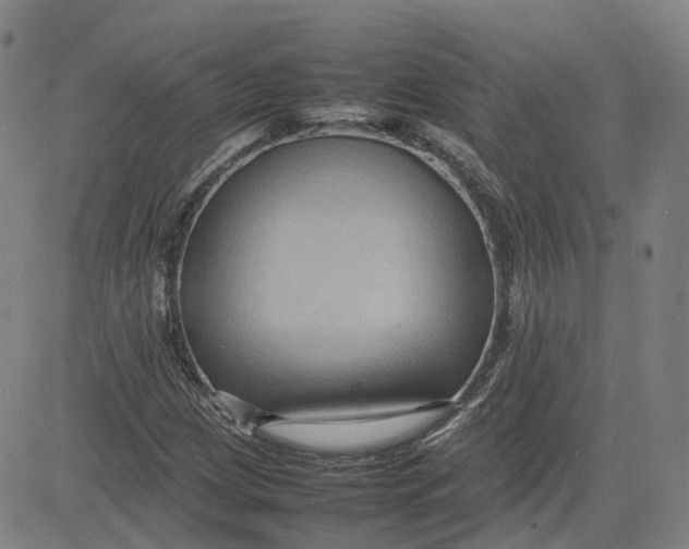 X0000080751209200701021022