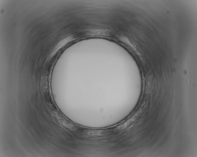 X0000080751211200701021022