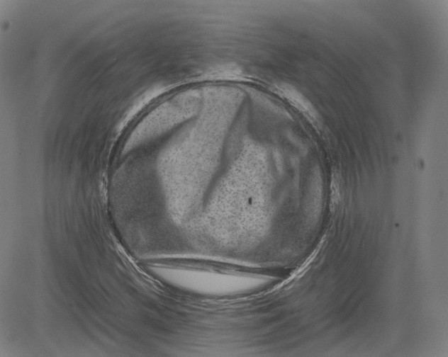 X0000080751212200701021022