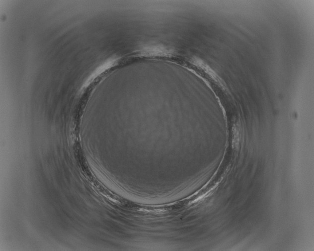 X0000080751213200701021022