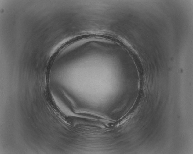 X0000080751214200701021022