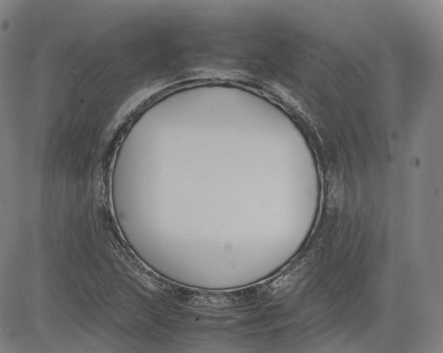 X0000080751215200701021022
