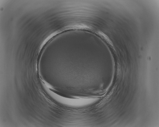 X0000080751226200701021023