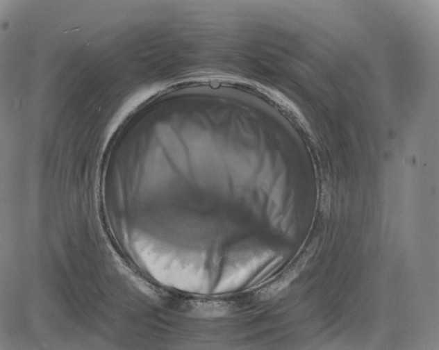 X0000080751231200701021023
