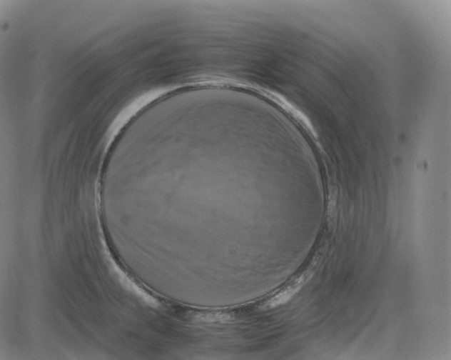 X0000080751239200701021023
