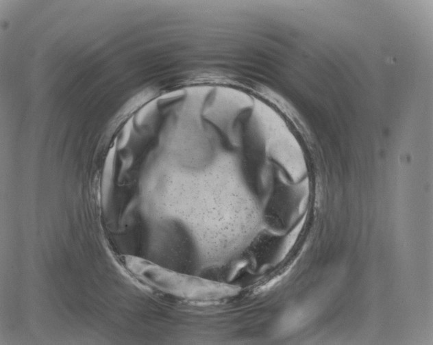 X0000080751241200701021023