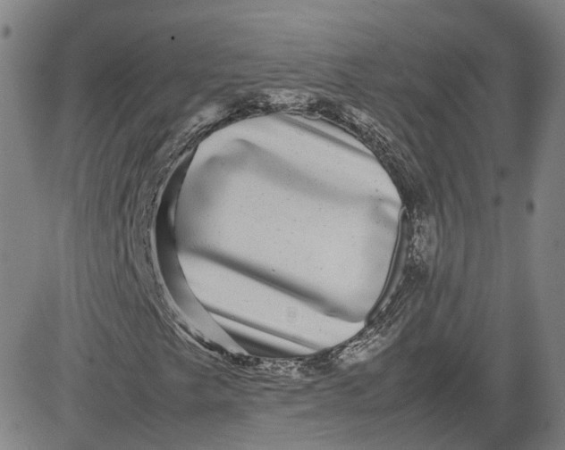 X0000080751249200701021022