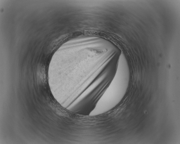 X0000080751252200701021022