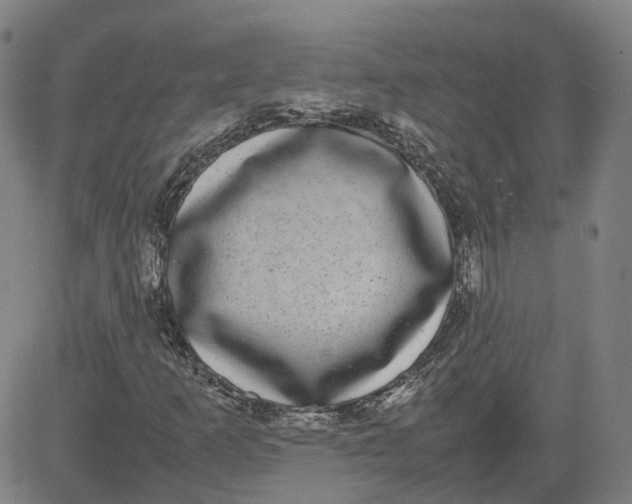 X0000080751253200701021022