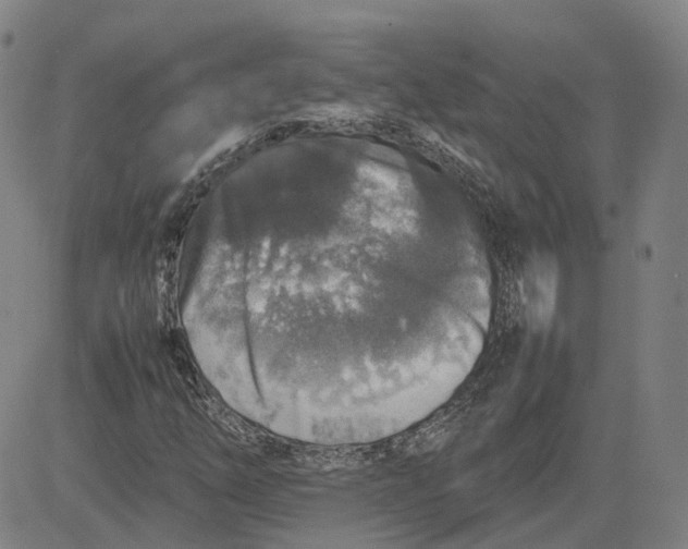 X0000080751254200701021022