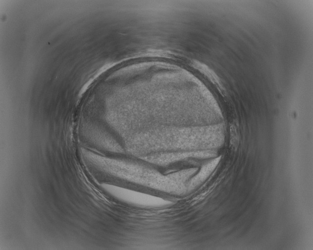 X0000080751260200701021022