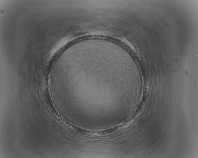 X0000080751263200701021022