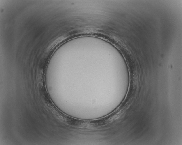 X0000080751265200701021022