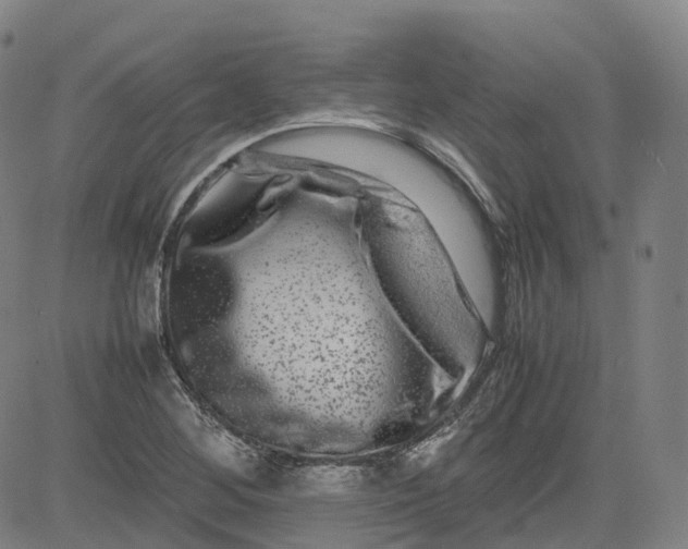 X0000080751268200701021022