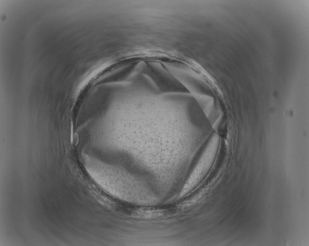 X0000080751269200701021022
