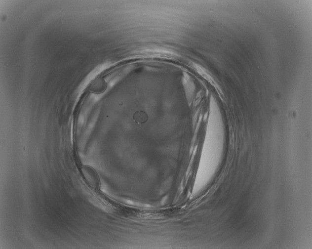 X0000080751275200701021022