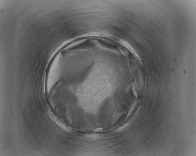 X0000080751276200701021022