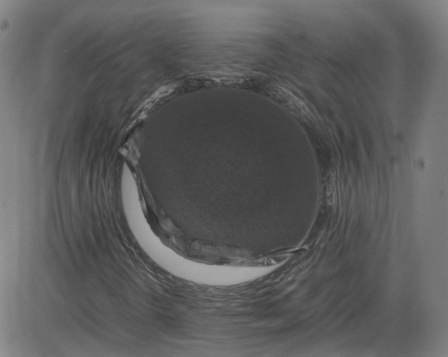 X0000080751298200701021021