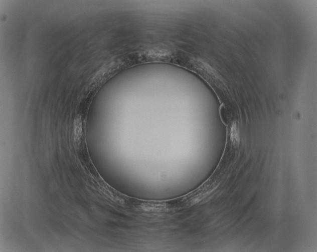 X0000080751299200701021021