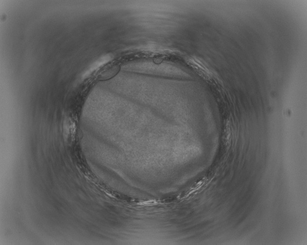 X0000080751302200701021021