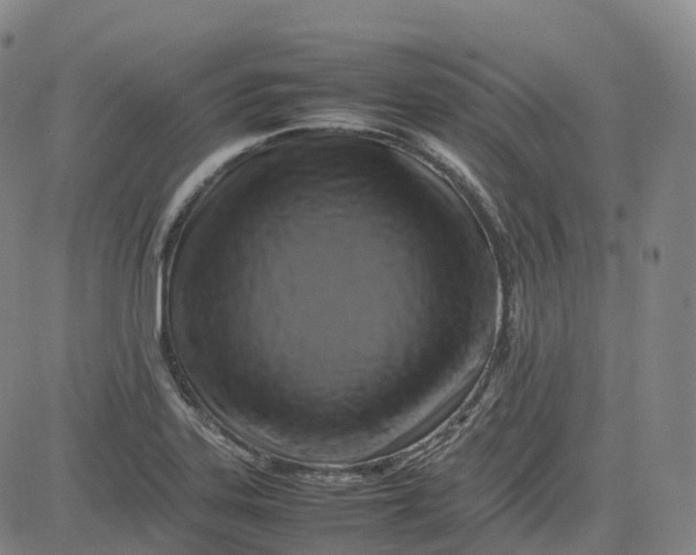 X0000080751323200701021021