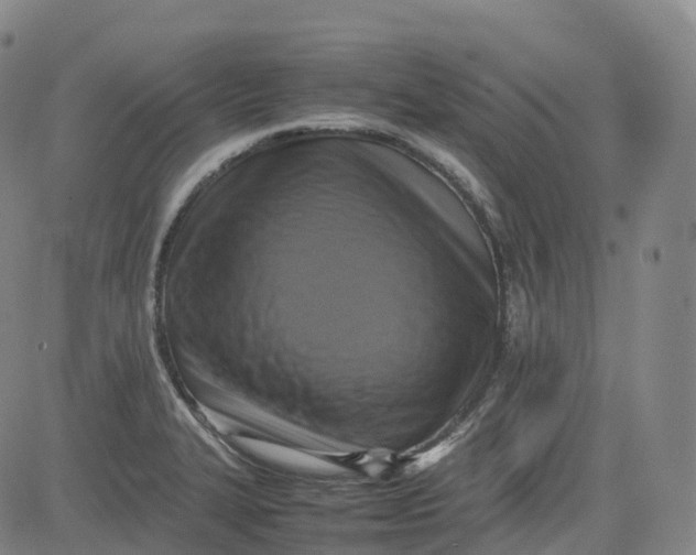 X0000080751327200701021021