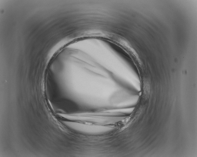 X0000080751328200701021021