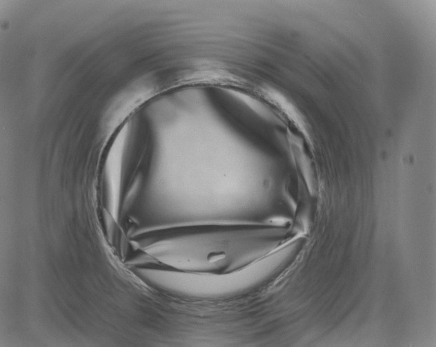 X0000080751330200701021021