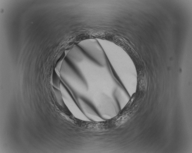 X0000080751345200701021021