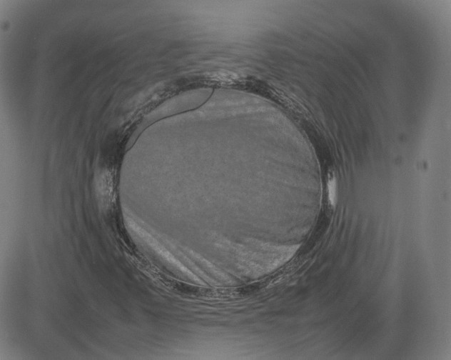X0000080751347200701021021