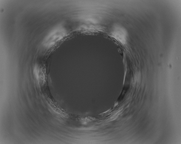 X0000080751348200701021020