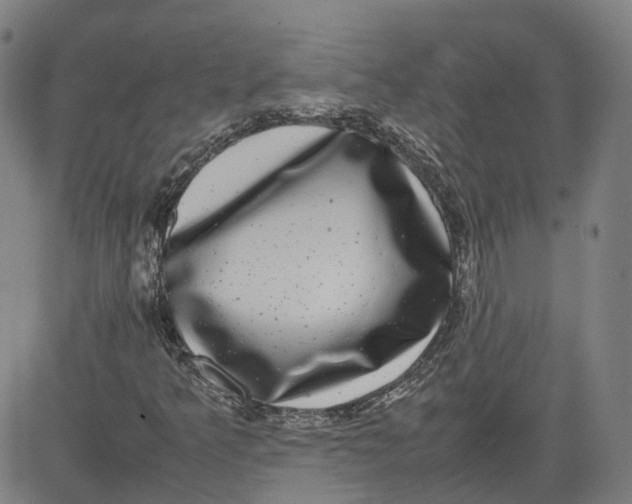 X0000080751349200701021020