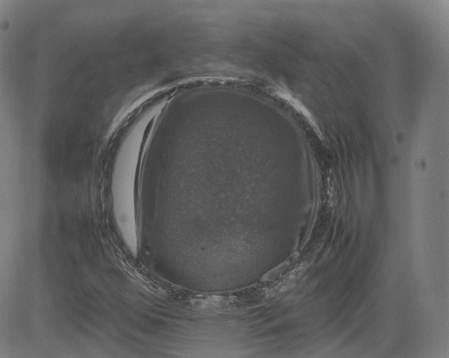 X0000080751352200701021020