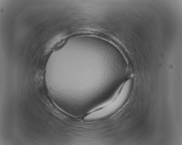 X0000080751355200701021020