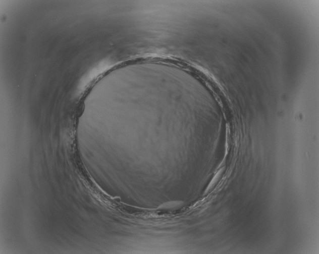 X0000080751359200701021020