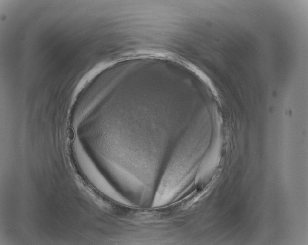 X0000080751373200701021020