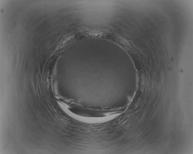 X0000080751394200701021019