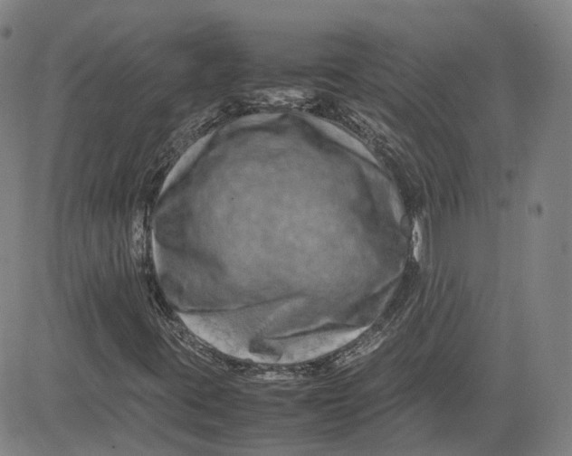 X0000080751395200701021019